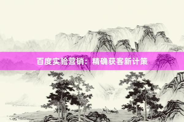 百度实验营销：精确获客新计策